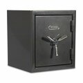 Sanctuary Platinum 1.96 Cu Ft Fireproof/Waterproof Home and Office Safe w/Biometric Lock, Dark Gray Metallic SA-PLAT2-BIO-DP